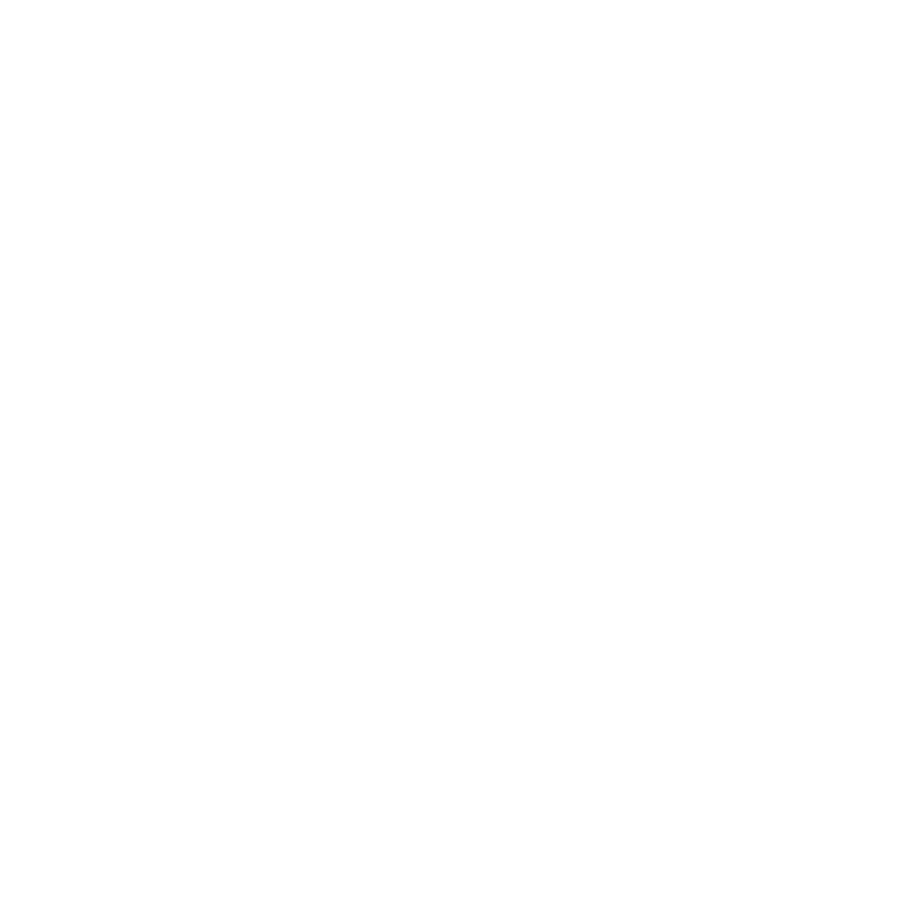 Nueva Visión